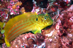 2013062202.jpg