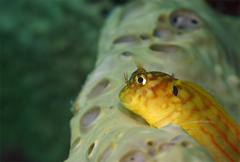 2013070501.jpg