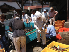 2013071002.jpg