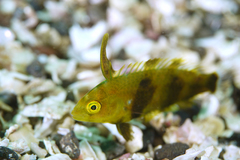 2013071701.jpg