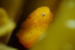2013072301.jpg