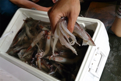 2013080301.jpg