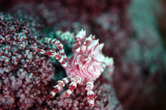 2013080401.jpg