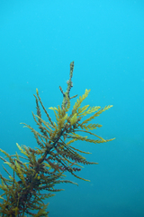 2013081501.jpg