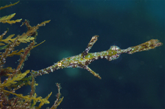 2013081502.jpg