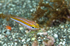 2013082201.jpg