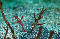 2013082202.jpg
