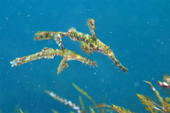 2013082203.jpg