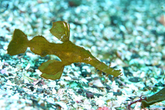 2013082204.jpg