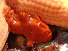 2013082401.jpg