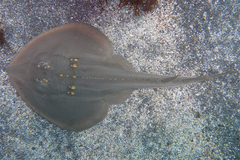 2013090401.jpg
