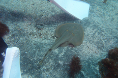2013090402.jpg