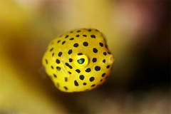 2013090901.jpg