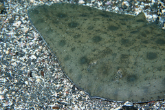 2013091101.jpg