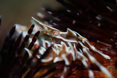 2013091103.jpg