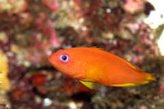 2013091104.jpg