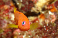 2013091105.jpg