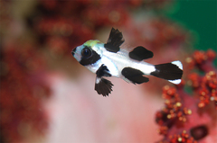 2013091106.jpg