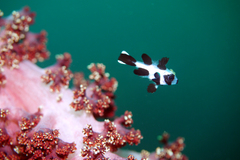 2013091107.jpg