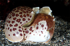 2013092102.jpg