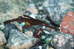 2013092105.jpg