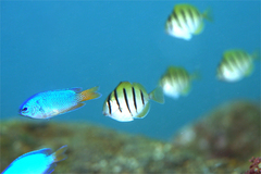 2013092106.jpg