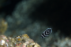 2013100401.jpg