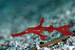 2013100402.jpg