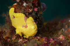 2013100403.jpg