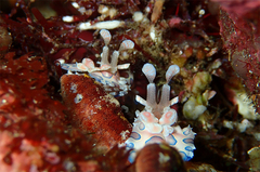 2013101302.jpg