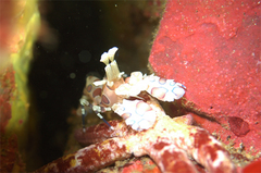 2013101801.jpg