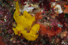 2013112101.jpg