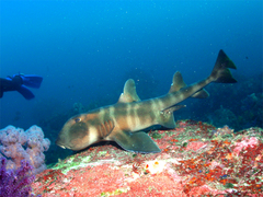 2013112202.jpg