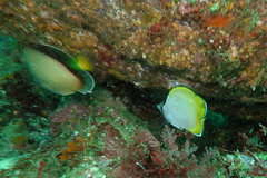 2013120402.jpg