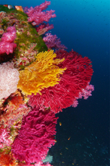 2014020101.jpg