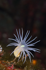 2014020106.jpg