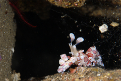 2014020302.jpg
