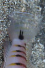 2014031304.jpg
