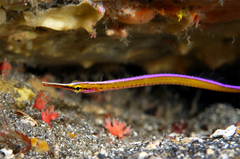 2014031305.jpg