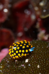 2014032901.jpg
