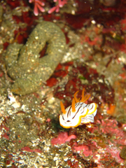 2014033001.jpg