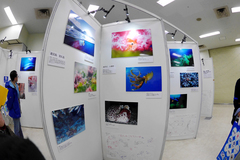 2014041102.jpg