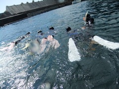 DSCF4437.JPG