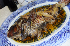 田子ツアー2013020306.jpg