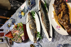 tago2013071803.jpg