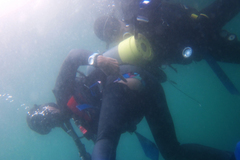 tago2013071804.jpg